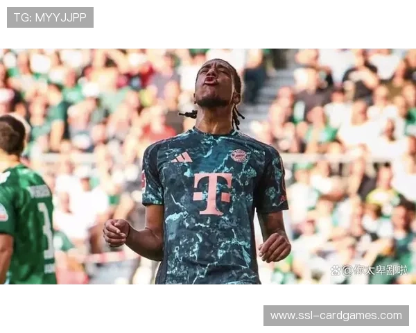 德甲历史经典战役,不莱梅拜仁恩怨回顾 德甲历史经典战役,不莱梅拜仁恩怨回顾